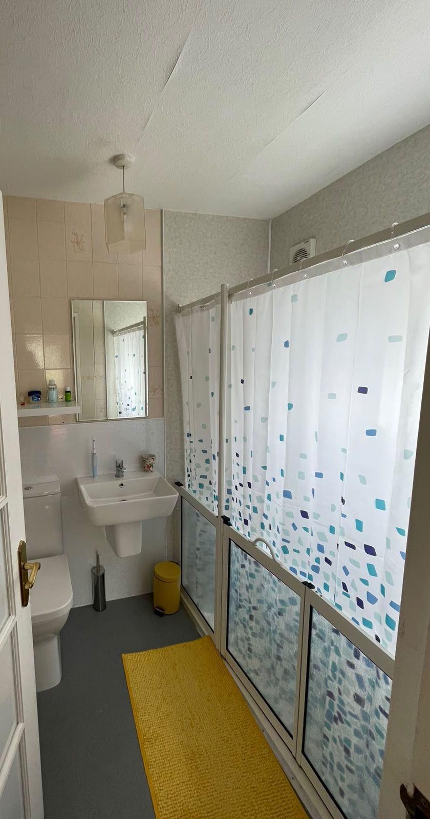 The downstairs bathroom with its walk-in shower